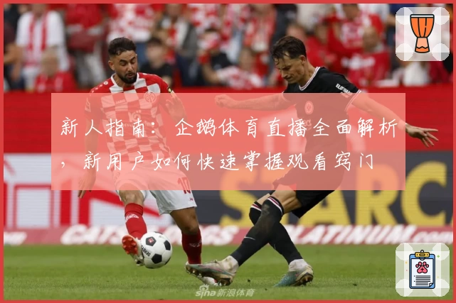 新人指南：企鹅体育直播全面解析，新用户如何快速掌握观看窍门