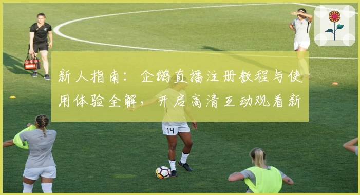 新人指南：企鹅直播注册教程与使用体验全解，开启高清互动观看新篇章