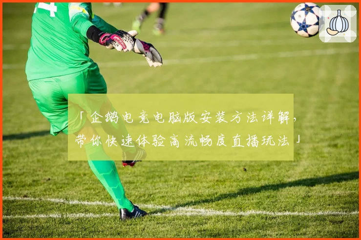 「企鹅电竞电脑版安装方法详解，带你快速体验高流畅度直播玩法」