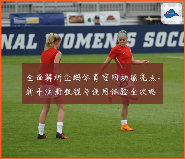 全面解析企鹅体育官网功能亮点，新手注册教程与使用体验全攻略