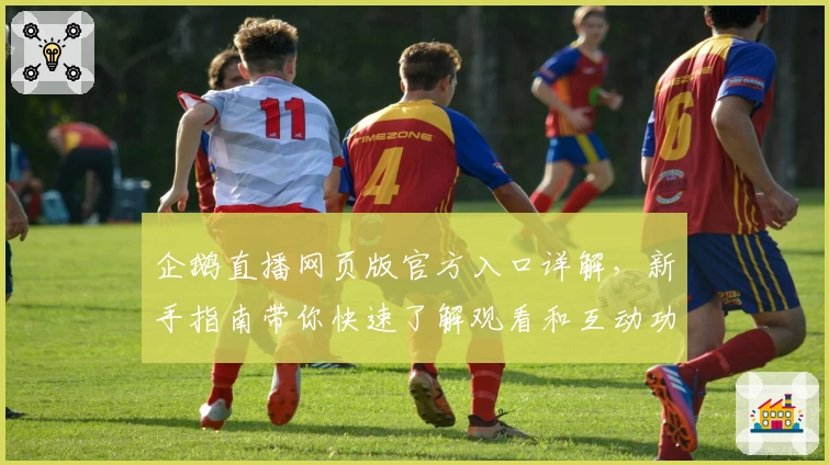 企鹅直播网页版官方入口详解，新手指南带你快速了解观看和互动功能亮点