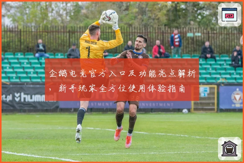企鹅电竞官方入口及功能亮点解析，新手玩家全方位使用体验指南