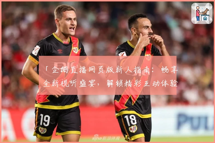 「企鹅直播网页版新人指南：畅享全新视听盛宴，解锁精彩互动体验」