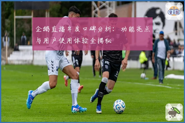 企鹅直播年度口碑分析：功能亮点与用户使用体验全揭秘