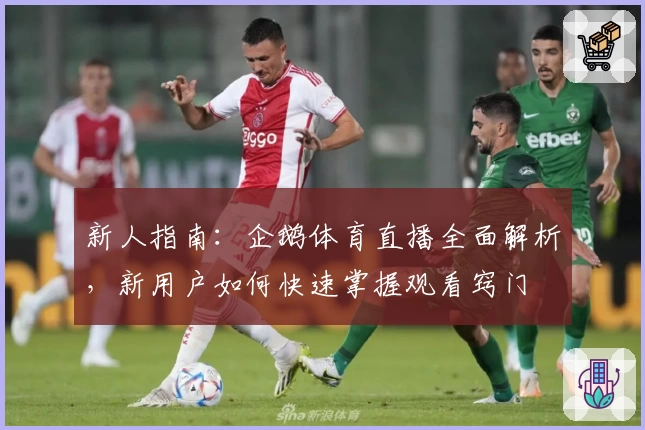 新人指南：企鹅体育直播全面解析，新用户如何快速掌握观看窍门