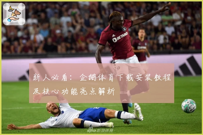 新人必看:企鹅体育下载安装教程及核心功能亮点解析