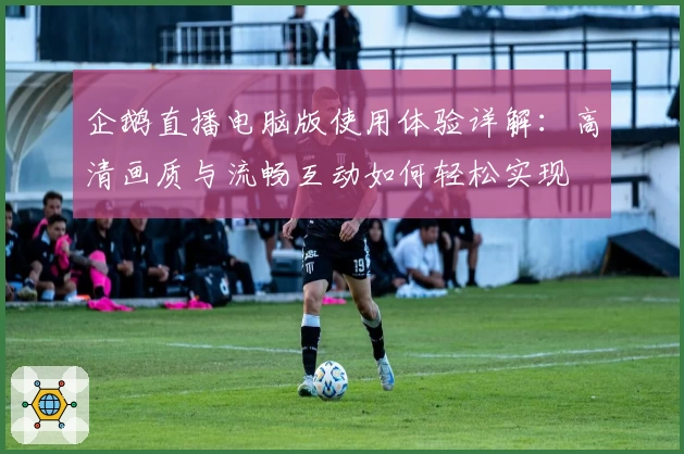 企鹅直播电脑版使用体验详解：高清画质与流畅互动如何轻松实现