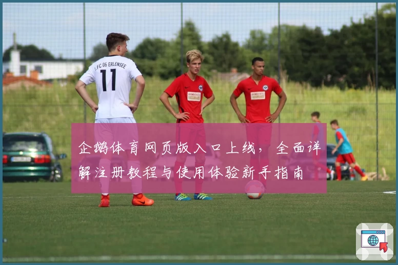 企鹅体育网页版入口上线，全面详解注册教程与使用体验新手指南