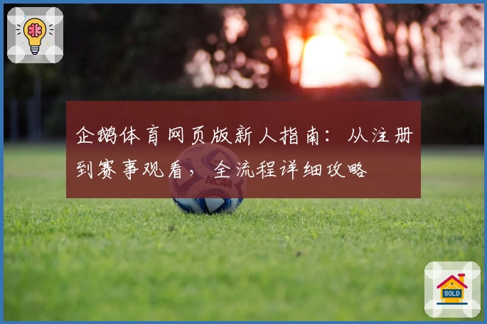 企鹅体育网页版新人指南：从注册到赛事观看，全流程详细攻略