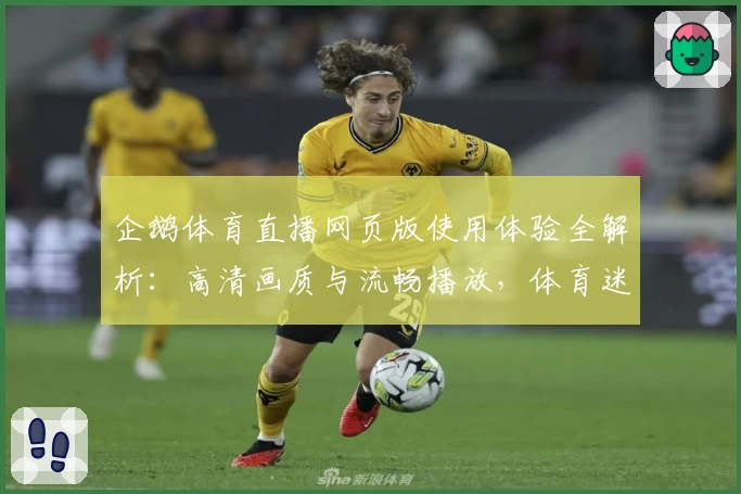 企鹅体育直播网页版使用体验全解析：高清画质与流畅播放，体育迷必备平台